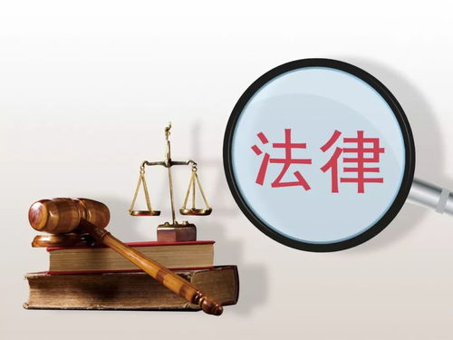 天津老人優(yōu)待與補(bǔ)貼最新匯總 信息咨詢(xún)服務(wù)指南