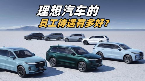 理想汽車(chē)的員工待遇有多好 哪怕是汽車(chē)銷(xiāo)售,五險(xiǎn)一金都給買(mǎi)齊